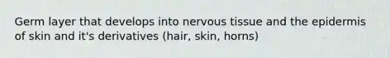 Germ layer that develops into nervous tissue and the epidermis of skin and it's derivatives (hair, skin, horns)