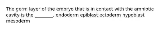 The germ layer of the embryo that is in contact with the amniotic cavity is the ________. endoderm epiblast ectoderm hypoblast mesoderm