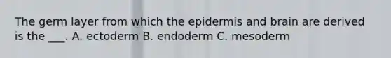 The germ layer from which the epidermis and brain are derived is the ___. A. ectoderm B. endoderm C. mesoderm