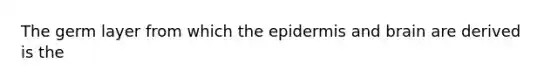 The germ layer from which the epidermis and brain are derived is the