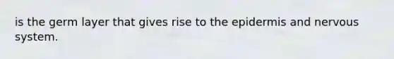 is the germ layer that gives rise to the epidermis and nervous system.