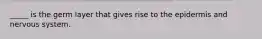 _____ is the germ layer that gives rise to the epidermis and nervous system.