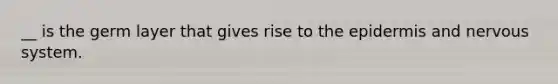 __ is the germ layer that gives rise to the epidermis and nervous system.
