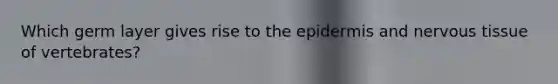 Which germ layer gives rise to the epidermis and nervous tissue of vertebrates?