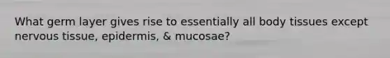 What germ layer gives rise to essentially all body tissues except <a href='https://www.questionai.com/knowledge/kqA5Ws88nP-nervous-tissue' class='anchor-knowledge'>nervous tissue</a>, epidermis, & mucosae?