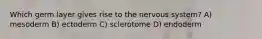 Which germ layer gives rise to the nervous system? A) mesoderm B) ectoderm C) sclerotome D) endoderm