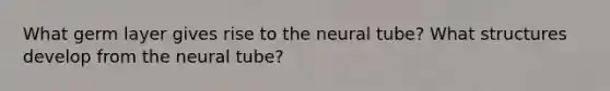 What germ layer gives rise to the neural tube? What structures develop from the neural tube?