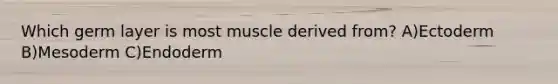 Which germ layer is most muscle derived from? A)Ectoderm B)Mesoderm C)Endoderm