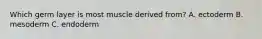 Which germ layer is most muscle derived from? A. ectoderm B. mesoderm C. endoderm