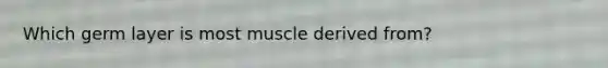 Which germ layer is most muscle derived from?