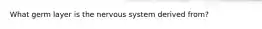 What germ layer is the nervous system derived from?