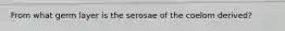 From what germ layer is the serosae of the coelom derived?