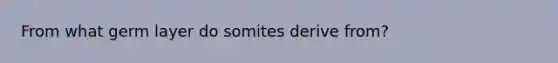 From what germ layer do somites derive from?