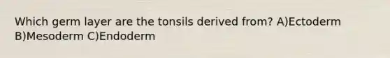 Which germ layer are the tonsils derived from? A)Ectoderm B)Mesoderm C)Endoderm