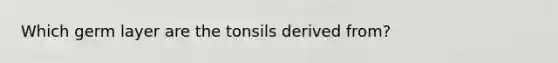 Which germ layer are the tonsils derived from?