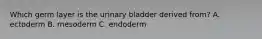 Which germ layer is the urinary bladder derived from? A. ectoderm B. mesoderm C. endoderm