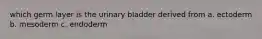 which germ layer is the urinary bladder derived from a. ectoderm b. mesoderm c. endoderm