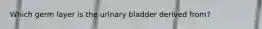 Which germ layer is the urinary bladder derived from?