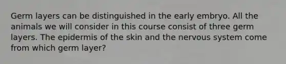 Germ layers can be distinguished in the early embryo. All the animals we will consider in this course consist of three germ layers. The epidermis of the skin and the nervous system come from which germ layer?