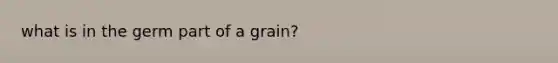 what is in the germ part of a grain?