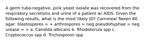 A germ tube-negative, pink yeast isolate was recovered from the respiratory secretions and urine of a patient w/ AIDS. Given the following results, what is the most likely ID? Cornmeal Tween 80 agar: blastospores = + arthrospores = neg pseudohyphae = neg urease = + a. Candida albicans b. Rhodotorula spp c. Cryptococcus spp d. Trichosporon spp