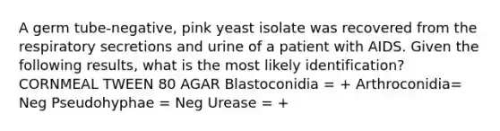 A germ tube-negative, pink yeast isolate was recovered from the respiratory secretions and urine of a patient with AIDS. Given the following results, what is the most likely identification? CORNMEAL TWEEN 80 AGAR Blastoconidia = + Arthroconidia= Neg Pseudohyphae = Neg Urease = +