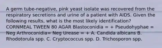 A germ tube-negative, pink yeast isolate was recovered from the respiratory secretions and urine of a patient with AIDS. Given the following results, what is the most likely identification? CORNMEAL TWEEN 80 AGAR Blastoconidia = + Pseudohyphae = Neg Arthroconidia= Neg Urease = + A. Candida albicans B. Rhodotorula spp. C. Cryptococcus spp. D. Trichosporon spp.