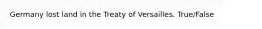 Germany lost land in the Treaty of Versailles. True/False