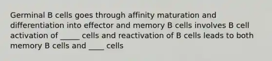 Germinal B cells goes through affinity maturation and differentiation into effector and memory B cells involves B cell activation of _____ cells and reactivation of B cells leads to both memory B cells and ____ cells