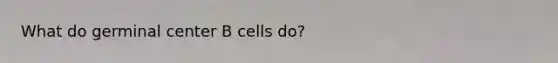 What do germinal center B cells do?