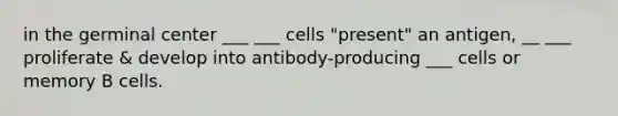 in the germinal center ___ ___ cells "present" an antigen, __ ___ proliferate & develop into antibody-producing ___ cells or memory B cells.