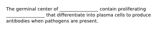 The germinal center of _________________ contain proliferating _________________ that differentiate into plasma cells to produce antibodies when pathogens are present.