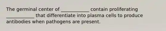 The germinal center of ____________ contain proliferating ____________ that differentiate into plasma cells to produce antibodies when pathogens are present.