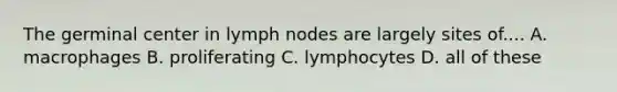 The germinal center in lymph nodes are largely sites of.... A. macrophages B. proliferating C. lymphocytes D. all of these