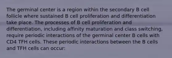 The germinal center is a region within the secondary B cell follicle where sustained B cell proliferation and differentiation take place. The processes of B cell proliferation and differentiation, including affinity maturation and class switching, require periodic interactions of the germinal center B cells with CD4 TFH cells. These periodic interactions between the B cells and TFH cells can occur: