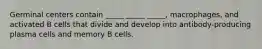 Germinal centers contain _____ _____ _____, macrophages, and activated B cells that divide and develop into antibody-producing plasma cells and memory B cells.