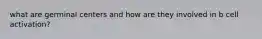 what are germinal centers and how are they involved in b cell activation?