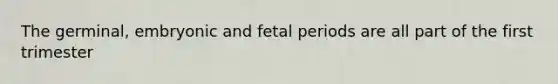 The germinal, embryonic and fetal periods are all part of the first trimester