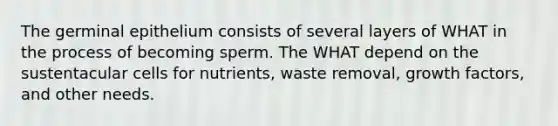 The germinal epithelium consists of several layers of WHAT in the process of becoming sperm. The WHAT depend on the sustentacular cells for nutrients, waste removal, growth factors, and other needs.