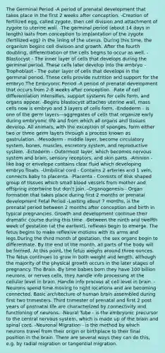 The Germinal Period -A period of prenatal development that takes place in the first 2 weeks after conception. -Creation of fertilized egg, called zygote, then cell division and attachment of zygote to uterine wall. -The germinal period (about 14 days in length) lasts from conception to implantation of the zygote (fertilized egg) in the lining of the uterus. During this time, the organism begins cell division and growth. After the fourth doubling, differentiation of the cells begins to occur as well. -Blastocyst - The inner layer of cells that develops during the germinal period. These cells later develop into the embryo -Trophoblast - The outer layer of cells that develops in the germinal period. These cells provide nutrition and support for the embryo The Embryonic Period -A period of prenatal development that occurs from 2-8 weeks after conception. -Rate of cell differentiation intensifies, support systems for cells form, and organs appear. -Begins blastocyst attaches uterine wall, mass cells now is embryo and 3 layers of cells form. -Endoderm - is one of the germ layers—aggregates of cells that organize early during embryonic life and from which all organs and tissues develop. All animals, with the exception of sponges, form either two or three germ layers through a process known as gastrulation. -Mesoderm - middle layer, become circulatory system, bones, muscles, escretory system, and reproductive system. -Ectoderm - Outermost layer, which becomes nervous system and brain, sensory receptors, and skin parts. -Amnion - like bag or envelope contains clear fluid which developing embryo floats. -Umbilical cord - Contains 2 arteries and 1 vein, connects baby to placenta. -Placenta - Consists of disk shaped group of tissues which small blood vessels from mother and offspring intertwine but don't join. -Organogenesis - Organ formation that takes place during first 2 months or prenatal development Fetal Period -Lasting about 7 months, is the prenatal period between 2 months after conception and birth in typical pregnancies. Growth and development continue their dramatic course during this time. -Between the ninth and twelfth week of gestation (at the earliest), reflexes begin to emerge. The fetus begins to make reflexive motions with its arms and legs.During the third month of gestation, the sex organs begin to differentiate. By the end of the month, all parts of the body will be formed. At this point, the fetus weighs around three ounces. The fetus continues to grow in both weight and length, although the majority of the physical growth occurs in the later stages of pregnancy. The Brain -By time babies born they have 100 billion neurons, or nerves cells, they handle info processing at the cellular level in brain. Handle info process at cell level in brain. -Neurons spend time moving to right locations and are becoming connected. Basic architecture of human brain assembled during first two trimesters. Third trimester of prenatal and first 2 post years of postnatal life are characterized by connectivity and functioning of neurons. -Neural Tube - is the embryonic precursor to the central nervous system, which is made up of the brain and spinal cord. -Neuronal Migration - is the method by which neurons travel from their origin or birthplace to their final position in the brain. There are several ways they can do this, e.g. by radial migration or tangential migration.