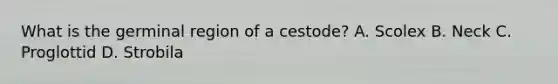 What is the germinal region of a cestode? A. Scolex B. Neck C. Proglottid D. Strobila