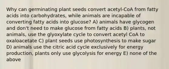 Why can germinating plant seeds convert acetyl-CoA from fatty acids into carbohydrates, while animals are incapable of converting fatty acids into glucose? A) animals have glycogen and don't need to make glucose from fatty acids B) plants, not animals, use the glyoxylate cycle to convert acetyl CoA to oxaloacetate C) plant seeds use photosynthesis to make sugar D) animals use the citric acid cycle exclusively for <a href='https://www.questionai.com/knowledge/k3xoUYcii1-energy-production' class='anchor-knowledge'>energy production</a>, plants only use glycolysis for energy E) none of the above