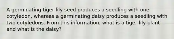 A germinating tiger lily seed produces a seedling with one cotyledon, whereas a germinating daisy produces a seedling with two cotyledons. From this information, what is a tiger lily plant and what is the daisy?