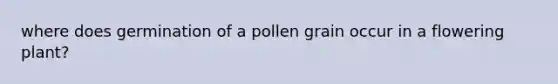 where does germination of a pollen grain occur in a flowering plant?