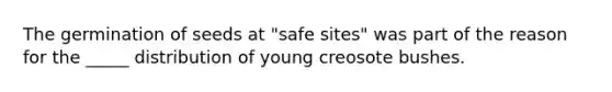 The germination of seeds at "safe sites" was part of the reason for the ____​_ distribution of young creosote bushes.