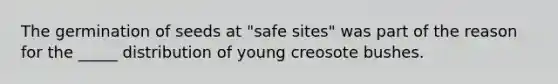 The germination of seeds at "safe sites" was part of the reason for the _____ distribution of young creosote bushes.