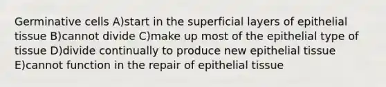 Germinative cells A)start in the superficial layers of epithelial tissue B)cannot divide C)make up most of the epithelial type of tissue D)divide continually to produce new epithelial tissue E)cannot function in the repair of epithelial tissue