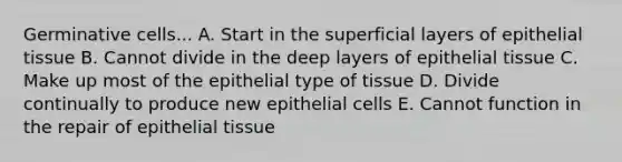 Germinative cells... A. Start in the superficial layers of epithelial tissue B. Cannot divide in the deep layers of epithelial tissue C. Make up most of the epithelial type of tissue D. Divide continually to produce new epithelial cells E. Cannot function in the repair of epithelial tissue