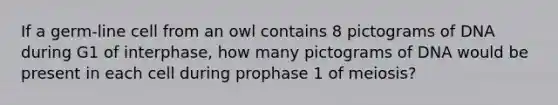 If a germ-line cell from an owl contains 8 pictograms of DNA during G1 of interphase, how many pictograms of DNA would be present in each cell during prophase 1 of meiosis?