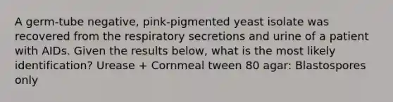 A germ-tube negative, pink-pigmented yeast isolate was recovered from the respiratory secretions and urine of a patient with AIDs. Given the results below, what is the most likely identification? Urease + Cornmeal tween 80 agar: Blastospores only